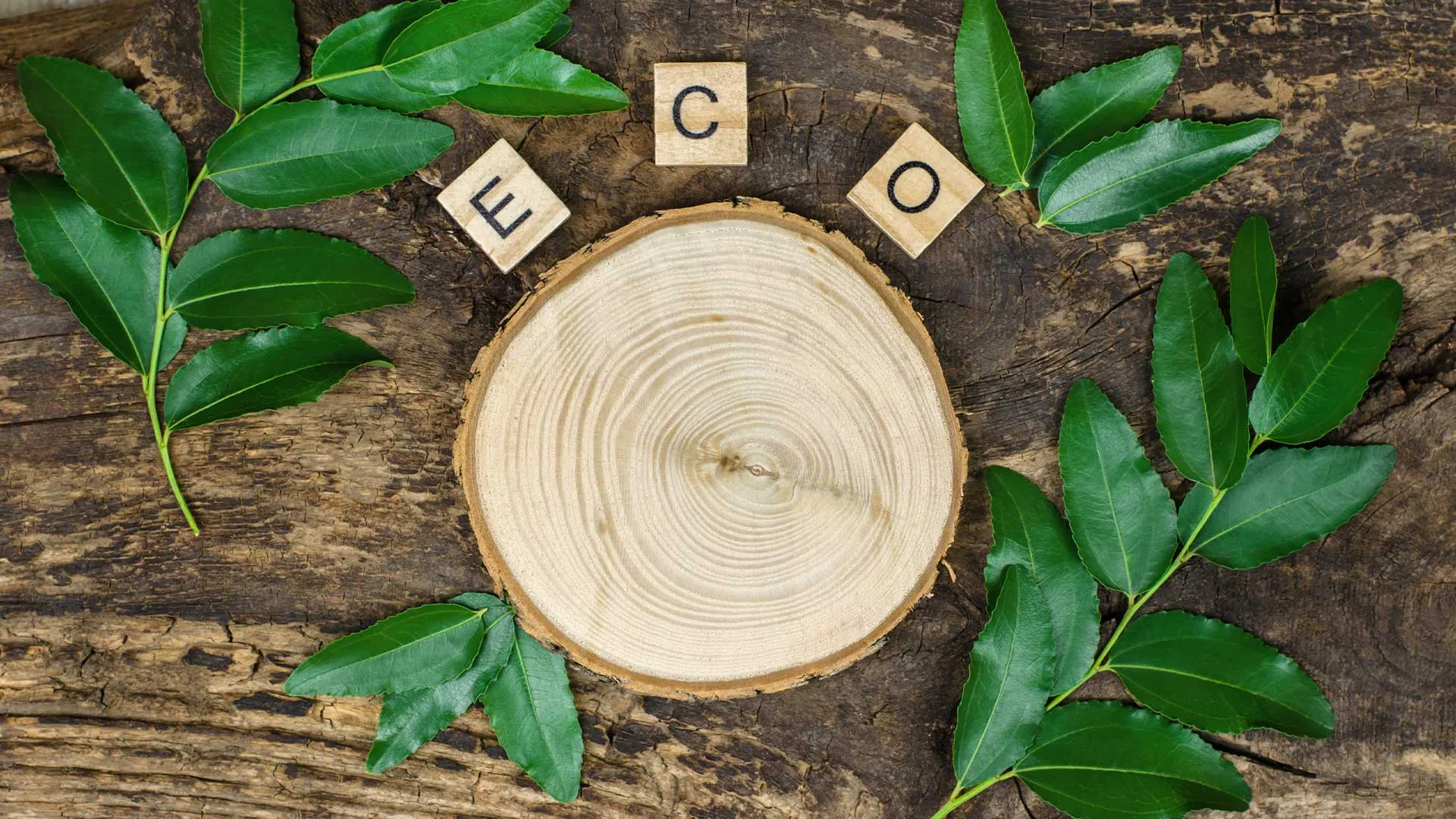ECO4 Grant FAQs: Everything You Need to Know